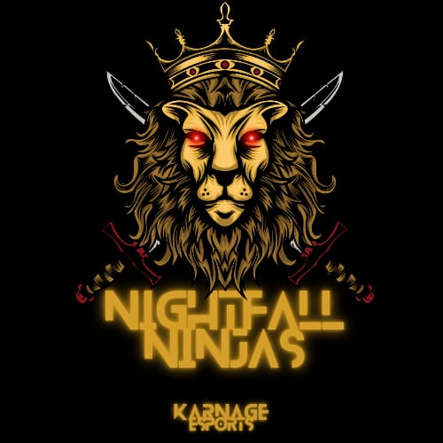 NIGHTFALL NINJAS